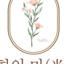 화인미 네이버블로그
