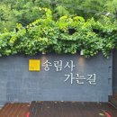 송림사가는길 이미지