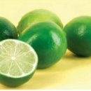 라임 이미지