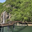 담양호국민관광지 이미지