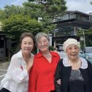 김영옥 이미지