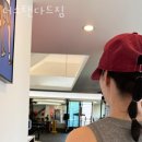 더 스탠다드 짐 이미지