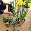 논실농원 이미지