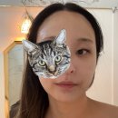 희성프라자 | 평택에스테틱 렌느제이에서 수분피부관리와 데콜테 받고온 후기