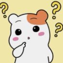 베비우 이미지