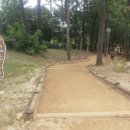 서호공원 이미지