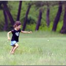 나비야놀자 이미지