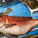 다대포항역 이미지