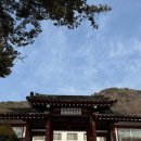 춘천세종관광호텔 | 강원도 춘천 돌잔치스냅 / 아이폰스냅 추천 [아녹스냅] : 춘천 세종호텔 돌스냅 촬영 후기