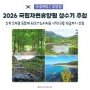 국립자연휴양림 성수기 추첨 총정리! 600대 1 예약 전쟁 시작됐습니다