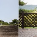 예당국민관광지 Daum카페