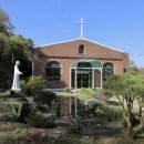 신도메디칼 이미지