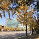 흑석역 북카페 &lt;청맥살롱&gt; 커피 맥주 책을 편하게 즐길 수 있는 공간 (책 구매도 가능)