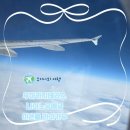 신사문화센터 | 오키나와여행 나하 (1) 우미카지테라스 나미노우에궁 신사 이온몰 라이카무