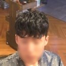 비일코퓌어 이미지