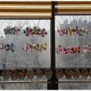 153재가노인복지센터 이미지