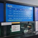 레전드바이크 | [제주] 너무더운 7월말 한여름 '제주 레일바이크' / 내돈내산,솔직후기