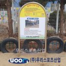 서울서빙고초등학교 이미지