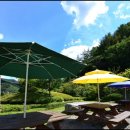 강촌프로방스 이미지