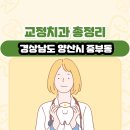 바룸치과의원 | 경상남도 양산시 중부동 교정치과 총정리
