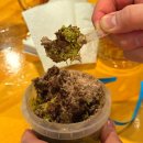 유피 | 범계 두바이케이크 맛집, 유피케이크 두쫀쿠 두바이케이크 솔직 후기