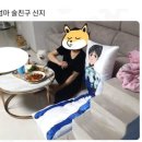 술친구 이미지