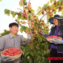 김광연 농장 이미지