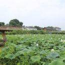 백연리 이미지