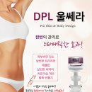 디피엘 이미지