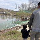 삼은길 | 🌸 평택 꽃뫼카페 휴게소: 봄나들이의 정석