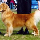 프리맨하우스 이미지