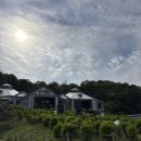비루개 | 남양주 비루개 카페 후기｜자연 속에서 불멍과 마시멜로를 즐길 수 있는 힐링 카페