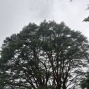 반송초등 이미지