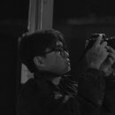 팜필리아 이미지