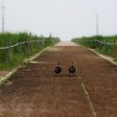 서부공원녹지사업소 이미지