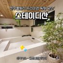 스테이디 | 전주풀빌라 프리미엄 독채 숙소 - <스테이디산>