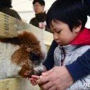 취향대로 고르세요..올해 주목할 국내여행지 10선 이미지