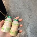 [광주] 놋포숯불가든 | 쌍촌동 삼겹살 맛집 오겹살 생갈비 솔직 후기