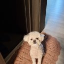 구자동동물병원 이미지