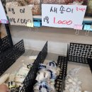 대림야채청과