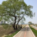 안양판교로 시경계(하오고개)~백현1교차로 | 시흥-안산-안양-성남 2018 후기