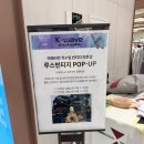 산드로롯데백화점 | 띠어리, 마주, 코스를 이 가격에? 요즘 패션 인플루언서들이 루스 빈티지로 오픈런하는 이유