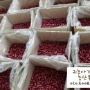 선화농장2 이미지