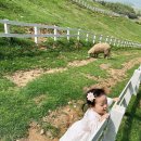 뚜비농장 이미지