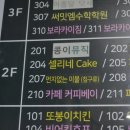 셀리케이크