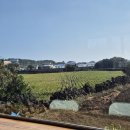 세화상회 | [여행 후기] 나름 잘(?) 힐링하고 돌아온 제주도 2박3일 여행 후기