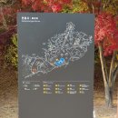 길곡마을1 | 아산 단풍 명소 현충사 / 신정호수 / 곡교천 은행나무길 (늦가을 끝나지 않은 단풍 후기)