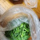 함양돼지국밥 | 진주맛집(초전동)-함양돼지국밥 포장후기