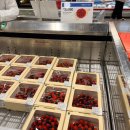 (주)코스트코 코리아 대전점 | 코스트코 세일품목 대전점 오늘 기준 정리