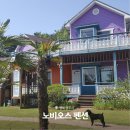 테마 애견 이미지